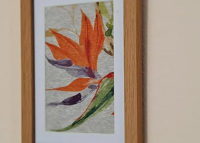 Chale - View * Φουνκάλ