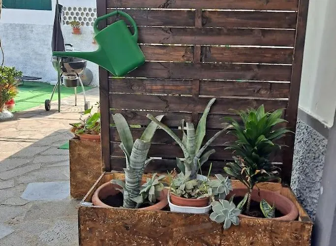 - View Funchal (Madeira)