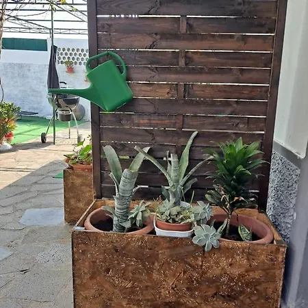 Chale - View 丰沙尔